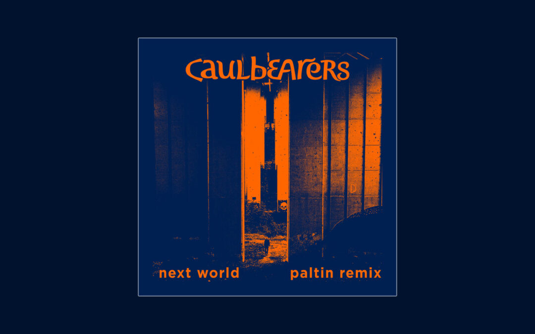 Next World – Paltin Remix